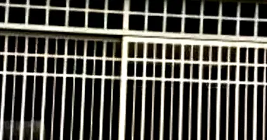 Casa padrão ocupada com 318m² terreno e 296m² construída