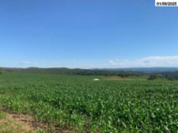 Parte ideal de terra com 9,68 hectares em Mairipotaba/GO