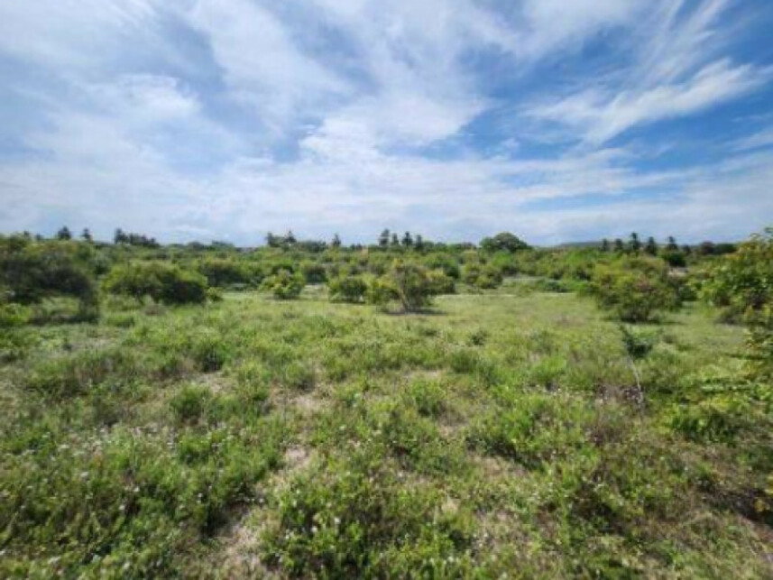 Terreno com 10.350,08m² em Santa Maria