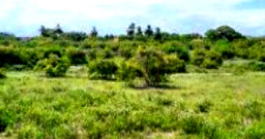 Terreno ocupado com 10.350,08m² em Santa Maria