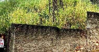 Terreno Amplo em Belo Horizonte