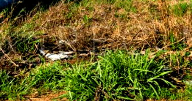 Terreno Residencial em Porto Ferreira - Lote 03