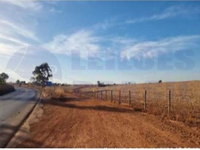 Gleba Rural em Vianópolis/GO com 89.40 hectares