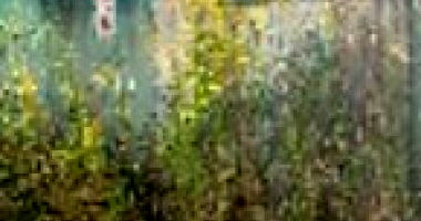 Condomínio Residencial Hawk II: Casa com 2 Quartos em Goiânia