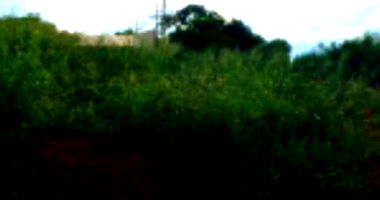 Terreno Urbano com 323m² sem benfeitorias, desocupado