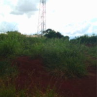 Terreno Urbano com 323m² sem benfeitorias