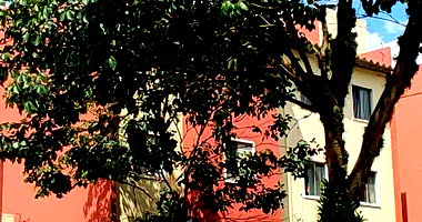 Apartamento com 2 Quartos e 1 Vaga em Guarulhos