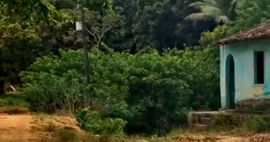 Engenho Tamatião em Água Preta/PE - Área Rural de 757,96ha