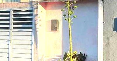 Casa em Nossa Senhora do Socorro com 2 quartos