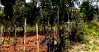 Terreno com 1000m² em Cidade Ocidental/GO