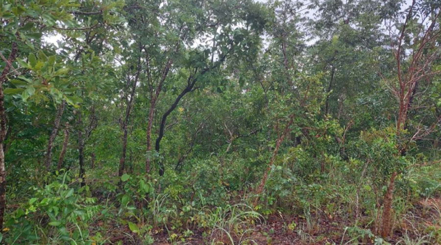 Fazenda com 177 ha, área rural, sem benfeitorias