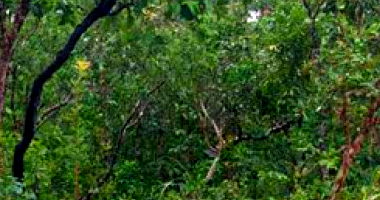 Fazenda com 177 ha, área rural, sem benfeitorias