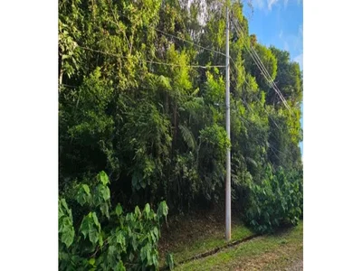 Terreno de 2.030m² em condomínio fechado