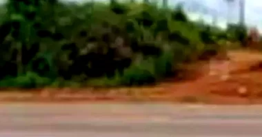 Terreno Amplo em Leilão - Gleba Cafezal