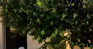 Casa Ocupada com 46,94m² em Ribeirão Preto