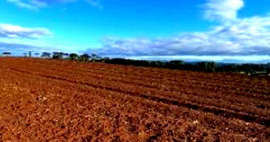 Terreno Rural com 8,1150 ha em Irineópolis-SC