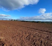 Terreno Rural com 8,1150 ha em Irineópolis-SC