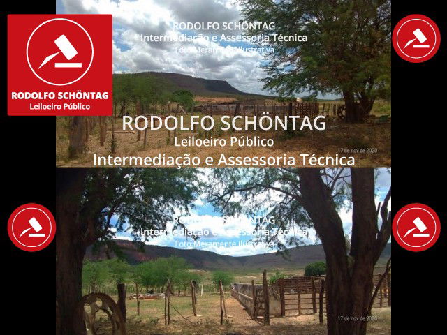 Terreno Rural 8,9 hectares em Ipubi, PE