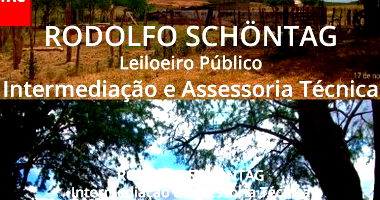 Terreno Rural 8,9 hectares em Ipubi, PE