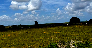 Terreno em Alhandra - PB