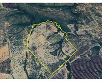 Terreno rural com 94 hectares na Fazenda Santa Vitória