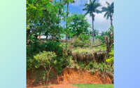 Terreno de 328,52m² em loteamento residencial