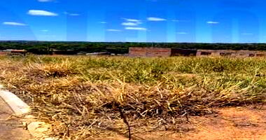 Lote Urbano Jardim dos Ipês em Caldas Novas/GO com 335,54m²