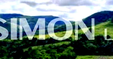 Imóvel Rural com Plantio de Erva-Mate e Pinus