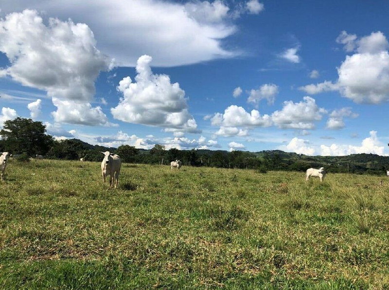 Imóvel Rural com 45,7370ha em Colorado do Oeste/RO