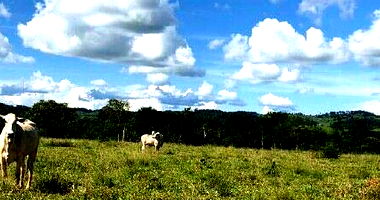 Imóvel Rural com 45,7370ha em Colorado do Oeste/RO