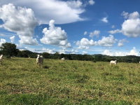 Imóvel Rural com 45,7370ha em Colorado do Oeste/RO
