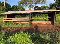 Imóvel Rural 51,1094 ha - Sítio Nossa Senhora Aparecida - Alta Floresta do Oeste/RO
