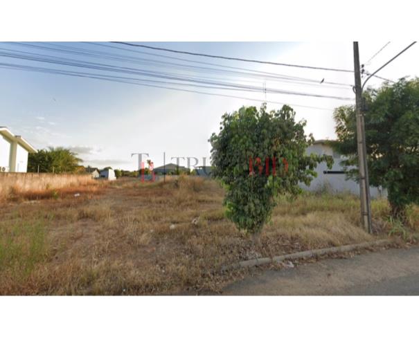 Terreno em Tapurah/MT - Oportunidade Única!