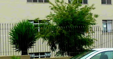 Apartamento em Curitiba com 2 Quartos