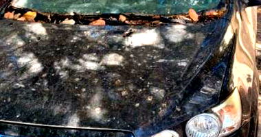 CHEV SONIC LTZ 2012 em péssimo estado