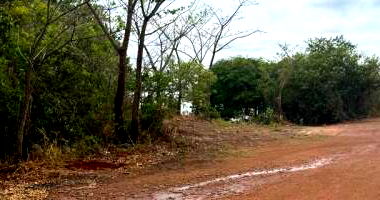 Terreno com 450,30 m² em Araguacema/TO