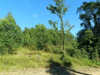 Fração Rural de 8.228 m² com Matrícula