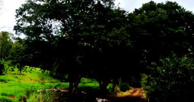 Parte Ideal de Área Rural com Edificações