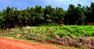Lote Rural com 124.233m² em Medianeira/PR