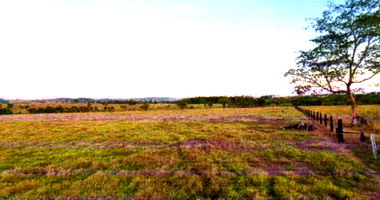Imóvel Rural de 14,52 Hectares em Colorado do Oeste - Oportunidade!