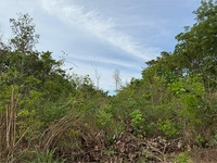 Terreno em Nova Xavantina - MT com 4.930m²