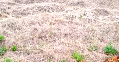 Lote Urbano em Saudades/SC com 360m²