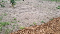 Lote Urbano em Saudades/SC com 360m²