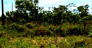 Terreno Urbano de Esquina em Chapada dos Guimarães