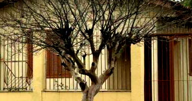 Casa com 0 quartos em Canoas