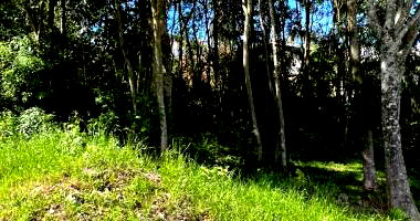 Terreno Urbano com 360m² em Caxias do Sul/RS