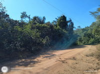 Sítio com 97,9969 hectares em Rio Crespo/RO