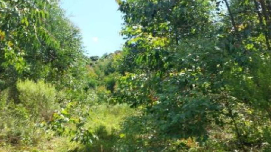 Terreno na Zona Rural - Vila Maria/RS