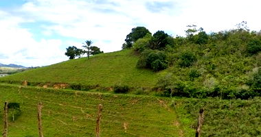 Imóvel Rural com 7.570ha em Água Preta/PE