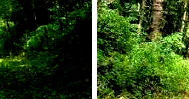 Fazenda Pedra Branca - 19,36ha - Rural